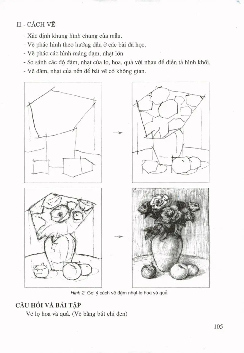 Vẽ theo mẫu Lọ hoa và quả (Vẽ bằng bút chì đen)
